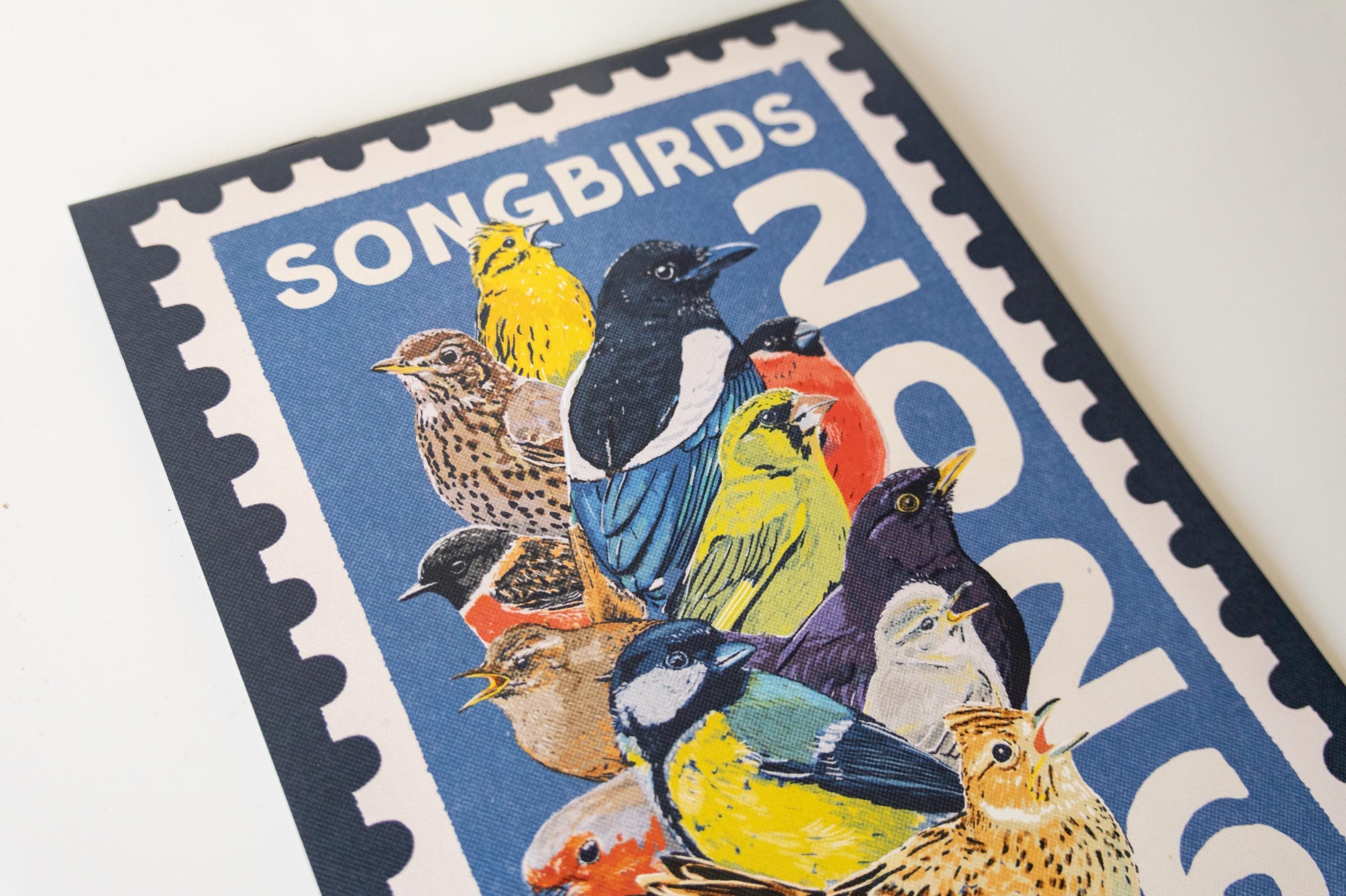 Birds