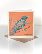 Starling greeting card