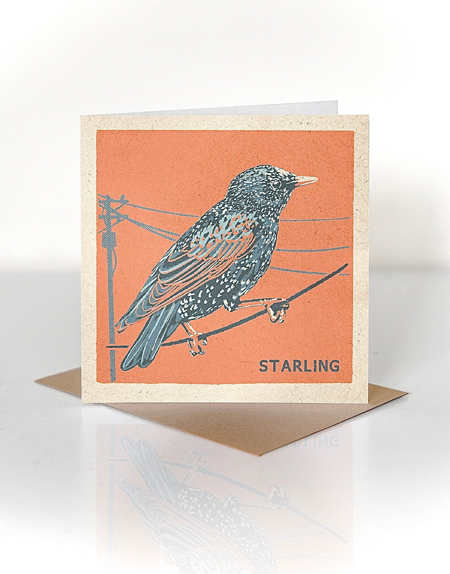 Starling greeting card
