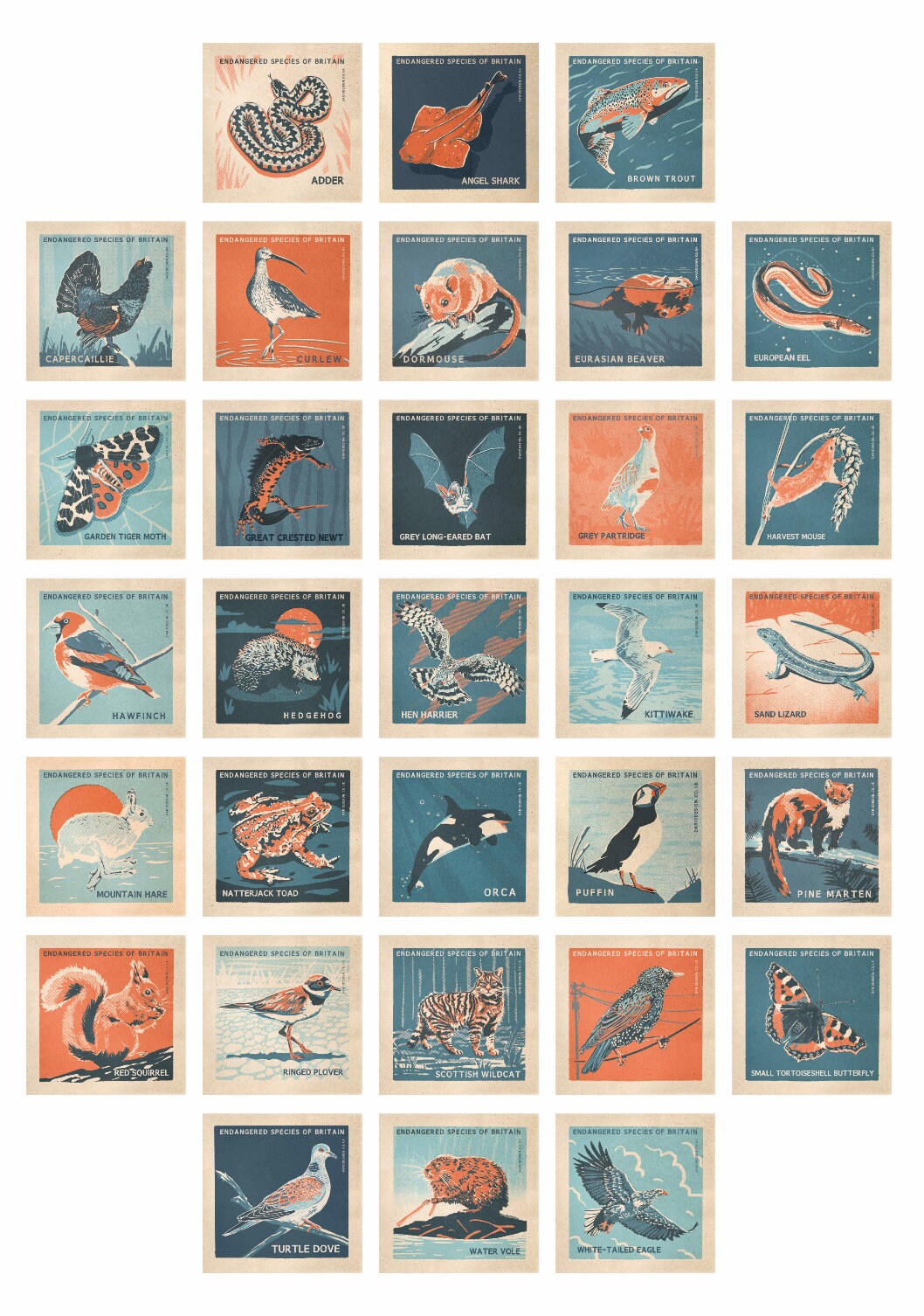 UK Endangered Species A2 retro print