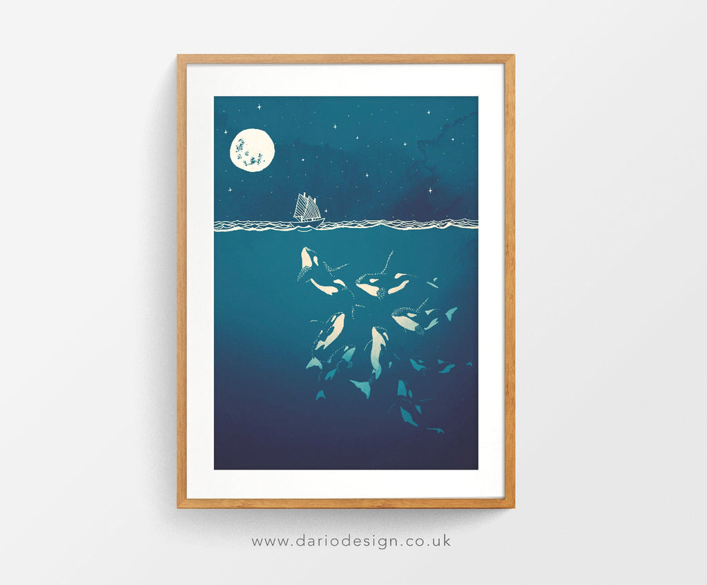 Midnight orca - killer whale print