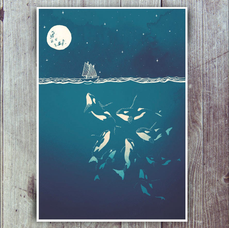 Midnight orca - killer whale print
