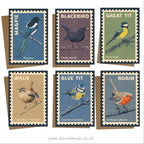 Songbirds - 6x greeting cards