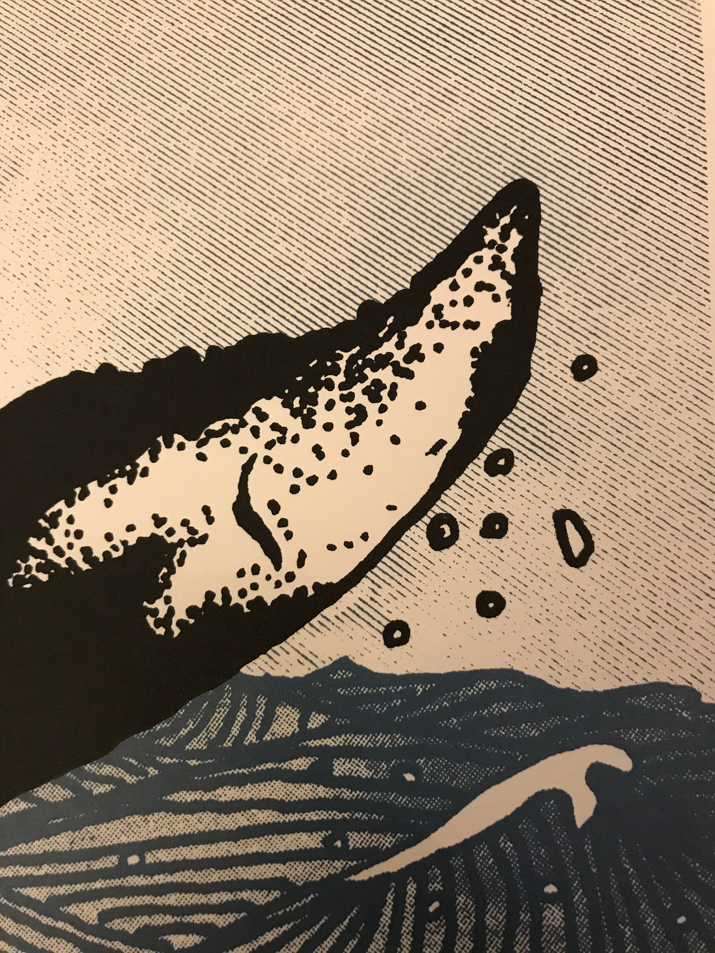 A3 Screen Print - Humpback Whale art