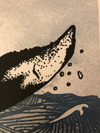 A3 Screen Print - Humpback Whale art