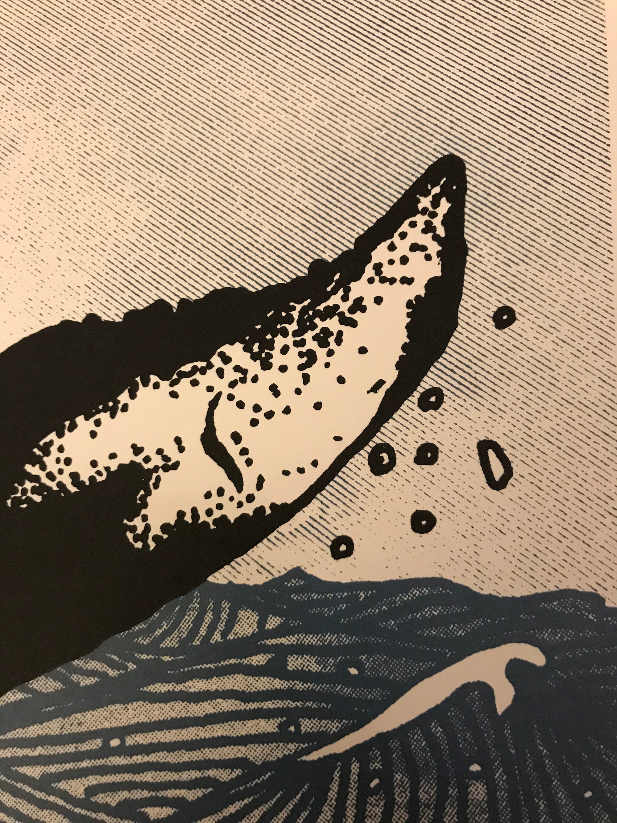 A3 Screen Print - Humpback Whale art