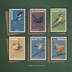 Songbirds - 6x greeting cards