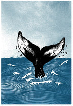 A3 Screen Print - Humpback Whale art
