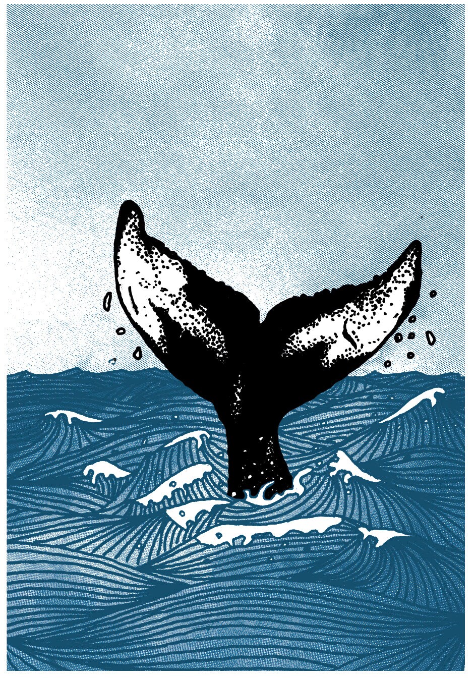 A3 Screen Print - Humpback Whale art