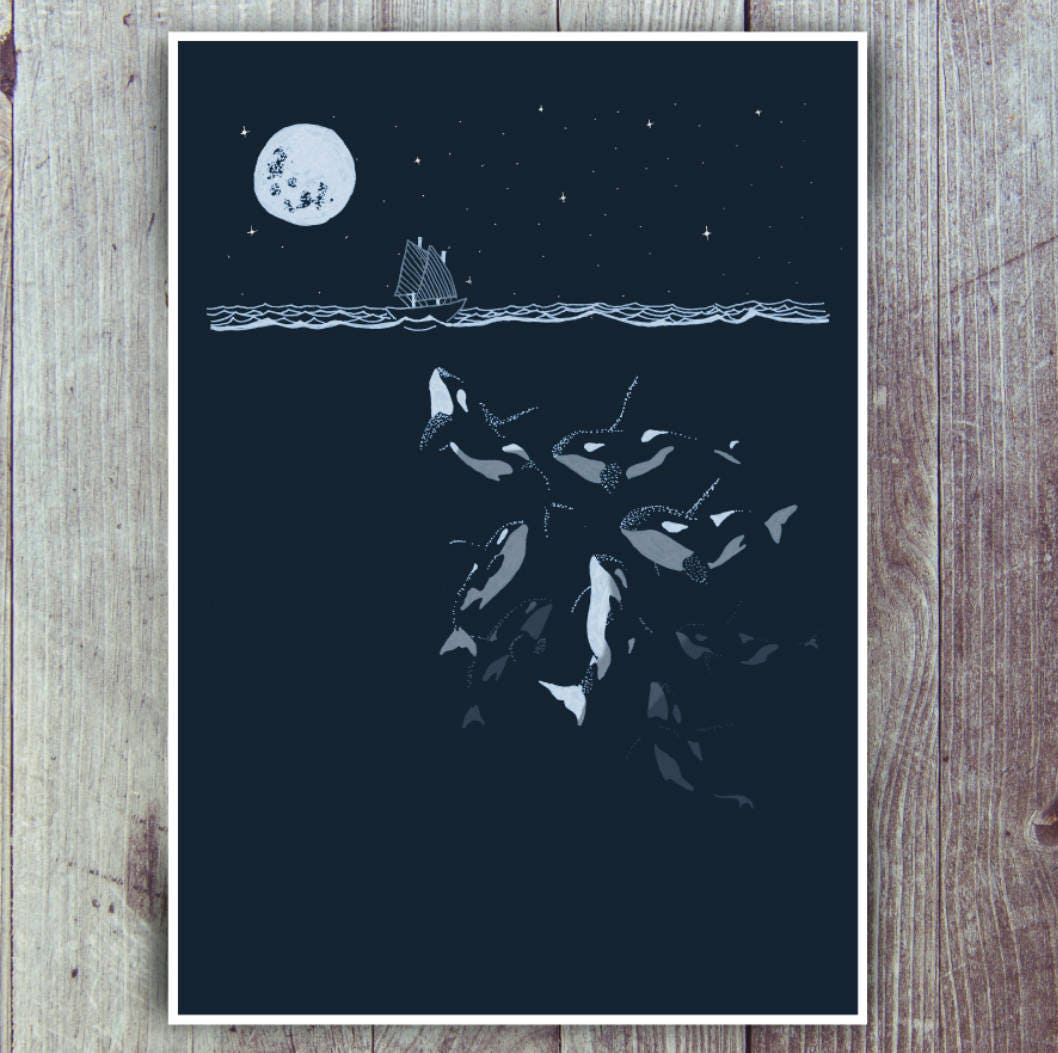 Midnight orca - killer whale print