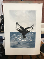 A3 Screen Print - Humpback Whale art