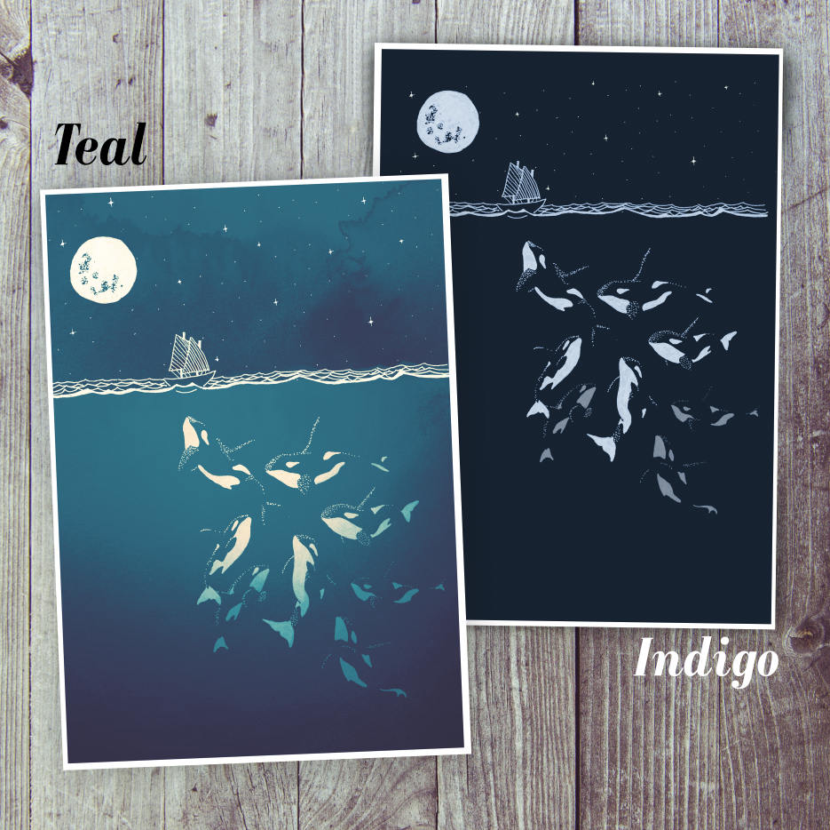 Midnight orca - killer whale print