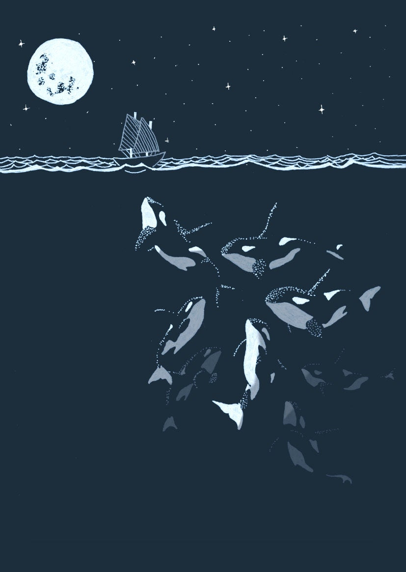 Midnight orca - killer whale print