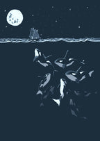 Midnight orca - killer whale print