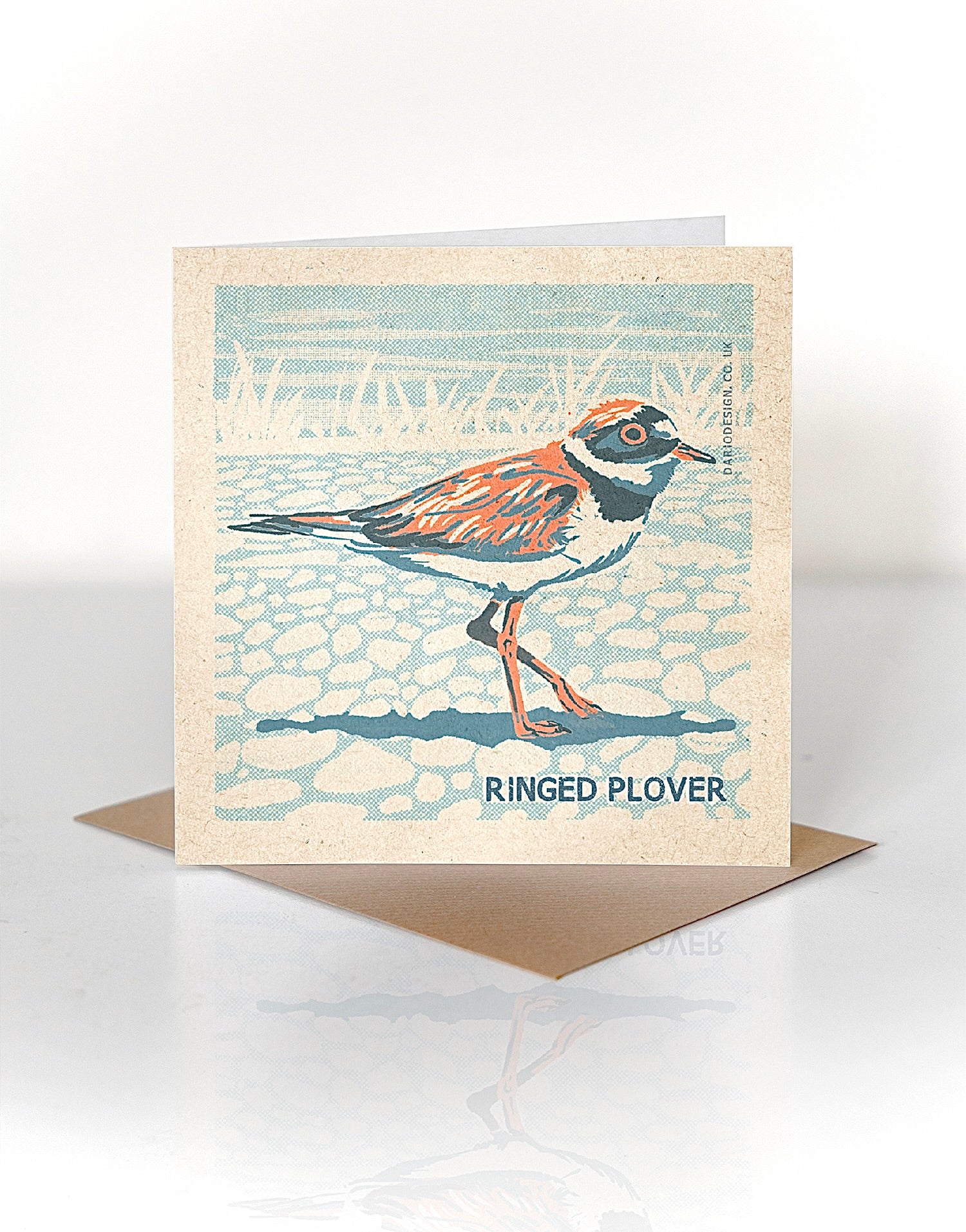 Ringed Plover card