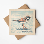 Ringed Plover card