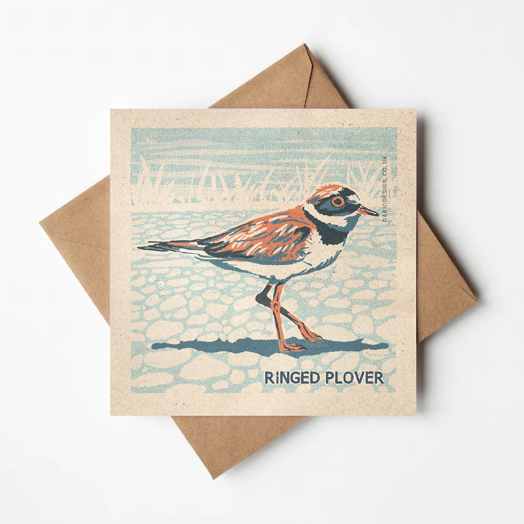 Ringed Plover card