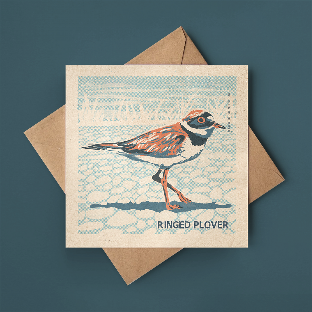 Ringed Plover card