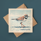 Ringed Plover card