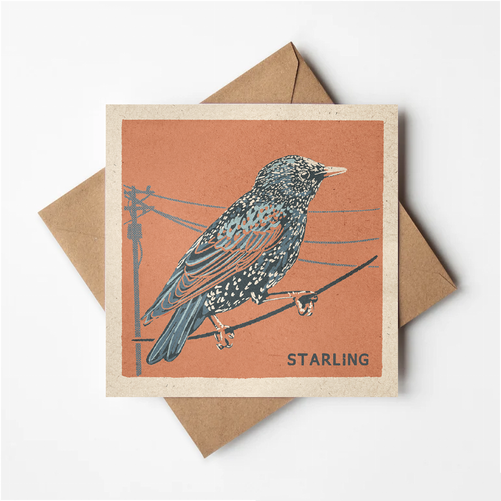 Starling greeting card