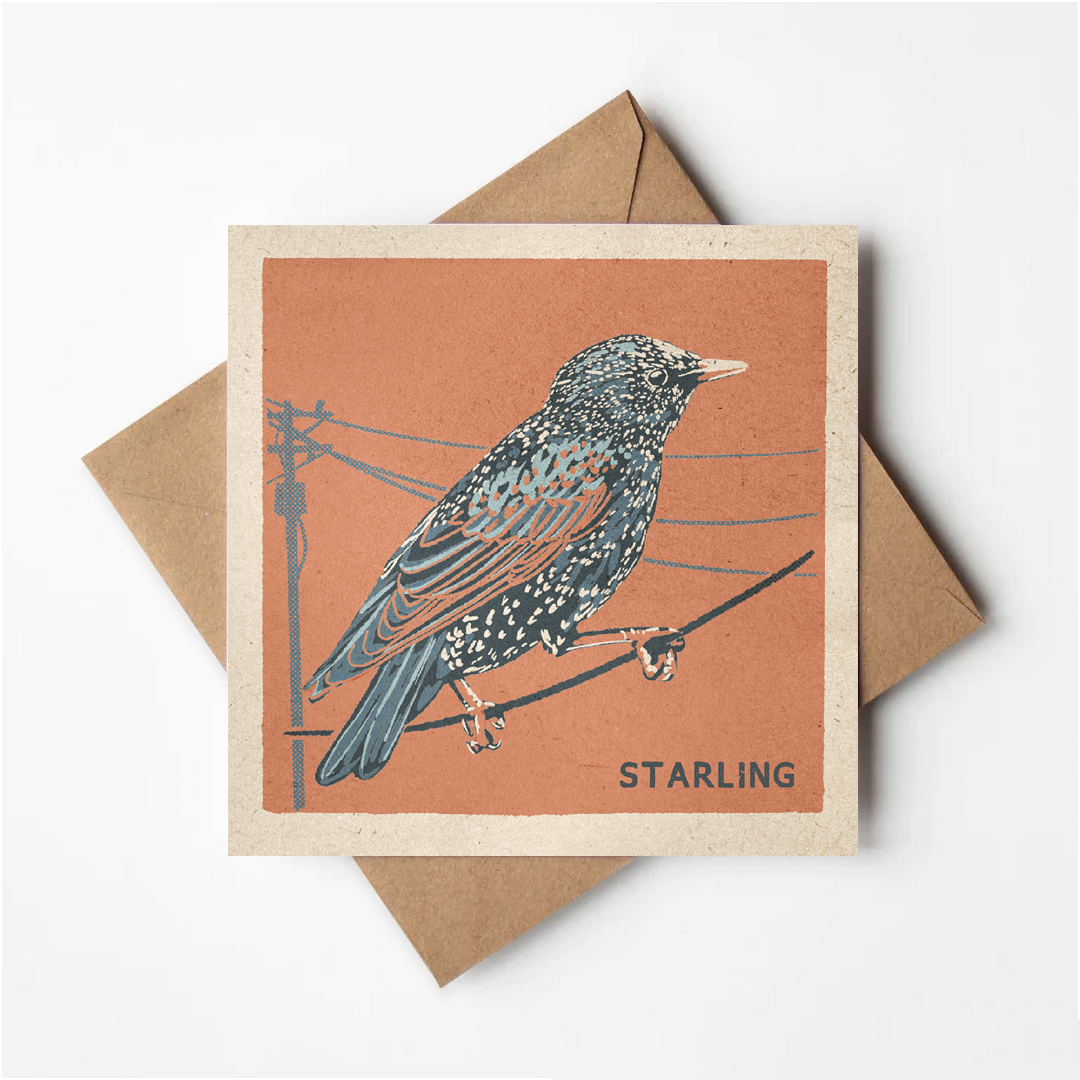 Starling greeting card