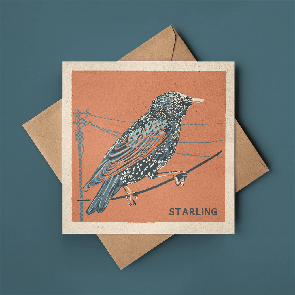 Starling greeting card