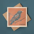 Starling greeting card