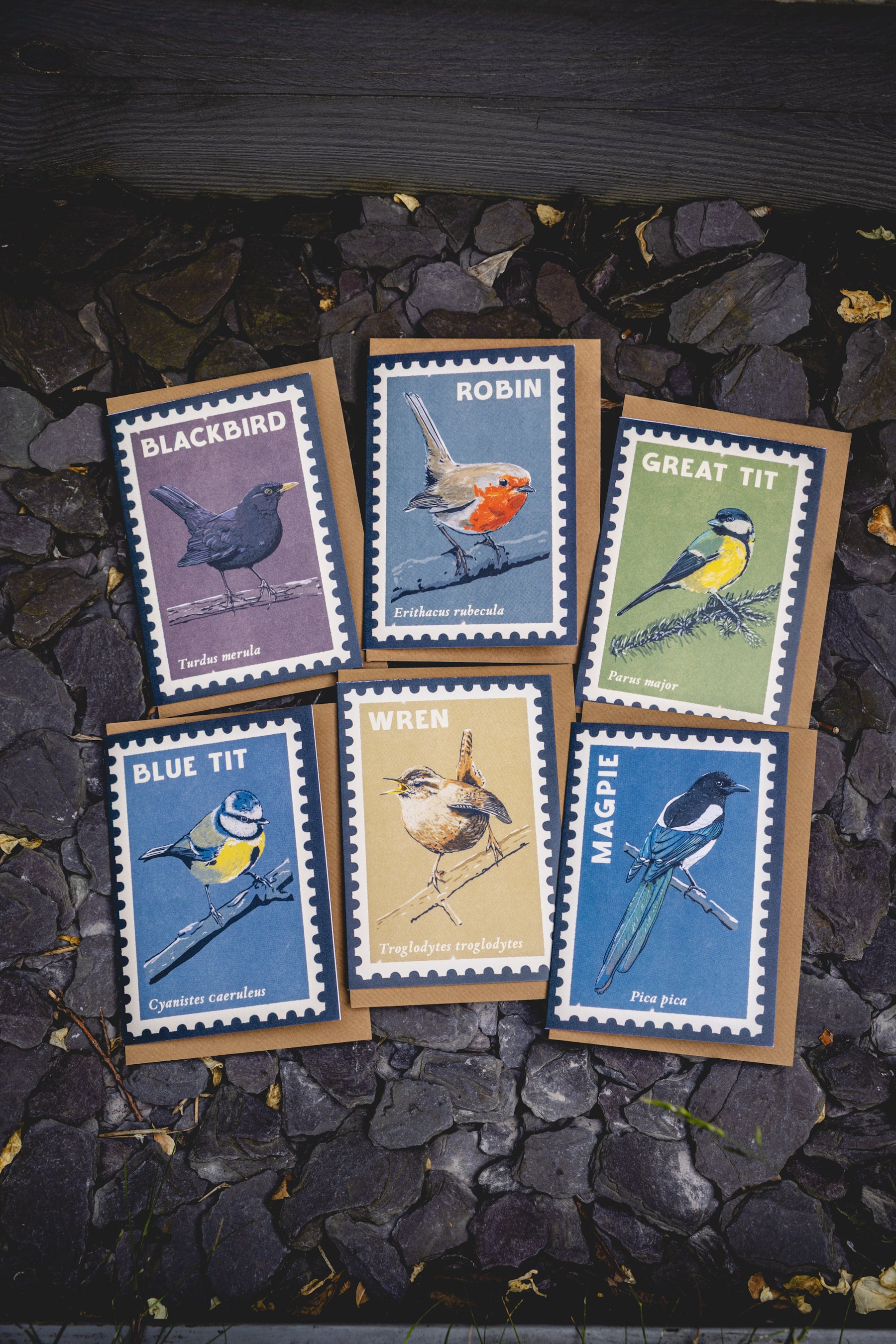Songbirds - 6x greeting cards
