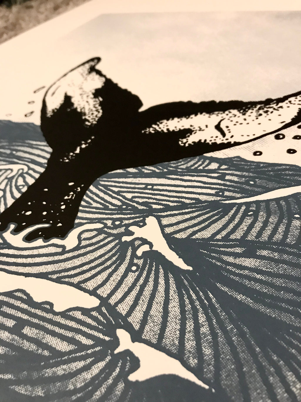 A3 Screen Print - Humpback Whale art