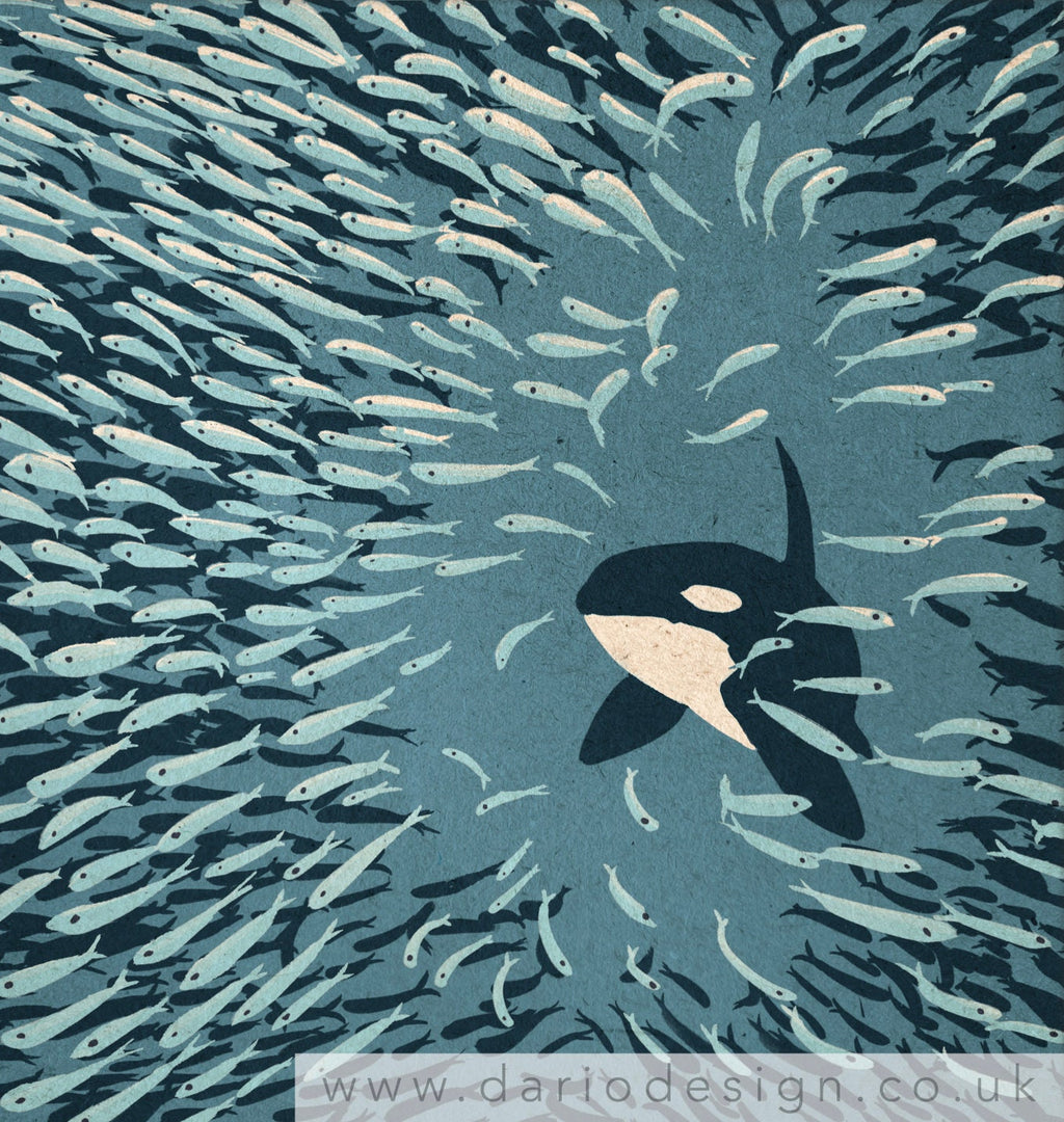 Orca and Herring Ball 40cm art print
