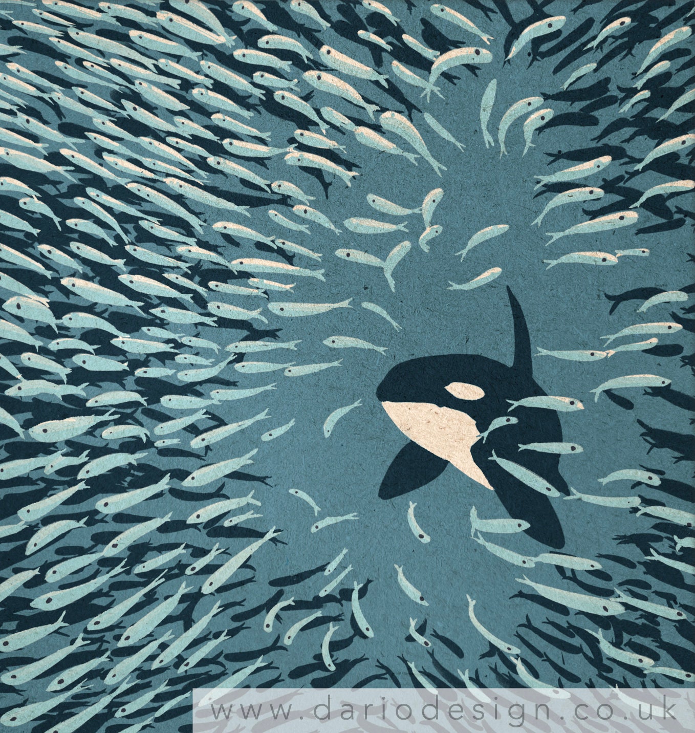 Orca and Herring Ball 40cm art print