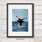 Humpback Whale Tail print